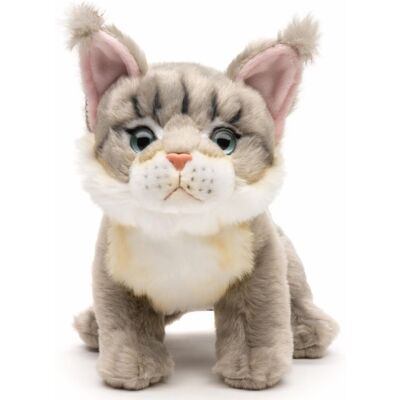 Uni-Toys - Kot Maine-Coon, siedzący (szary) - 18 cm (wysokość) - pluszowy kot - pluszowa zabawka, przytulanka Uni-Toys - Kot Maine-Coon, siedzący (szary) - 18 cm (wysokość) - pluszowy kot - pluszowa zabawka, przytulanka