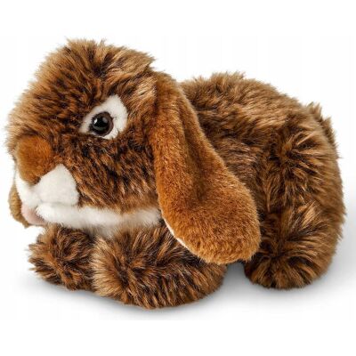 Inny producent UNI-TOYS Pluszowy Królik Leżący Brązowy 18 cm Przytulanka Dla Dzieci Inny producent UNI-TOYS Pluszowy Królik Leżący Brązowy 18 cm Przytulanka Dla Dzieci