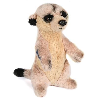 Uni-Toys - Surykatki, stojący - 14 cm (wysokość) - pluszowy kot morski - pluszak, przytulanka Uni-Toys - Surykatki, stojący - 14 cm (wysokość) - pluszowy kot morski - pluszak, przytulanka
