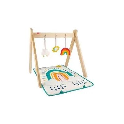 Fisher Price Activity Gym Fisher Price Activity Gym