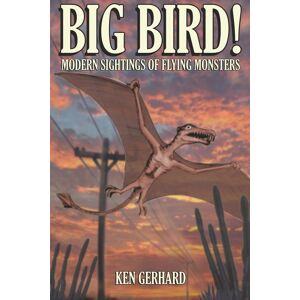 BIG BIRD! - MODERN SIGHTINGS OF FLYING MONSTERS
