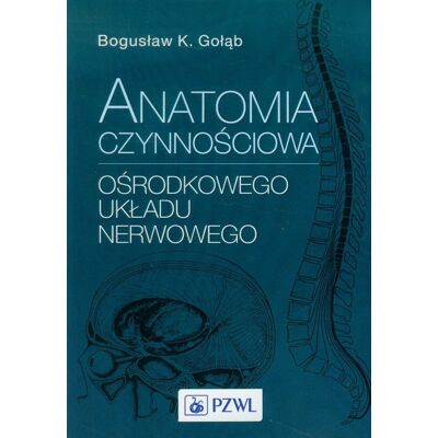 Anatomia czynnościowa ośrodkowego układu nerwowego Anatomia czynnościowa ośrodkowego układu nerwowego