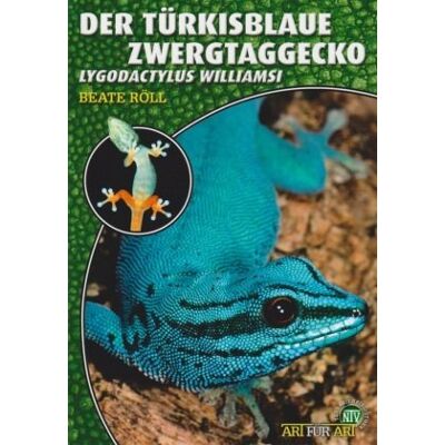 für Art: Der Türkisblaue Zwerggecko für Art: Der Türkisblaue Zwerggecko