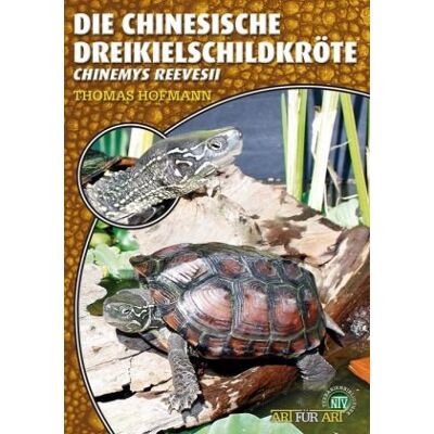 für Art: Die Chinesische Dreikielschildkröte für Art: Die Chinesische Dreikielschildkröte