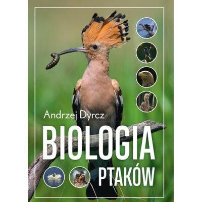 Biologia ptaków Biologia ptaków