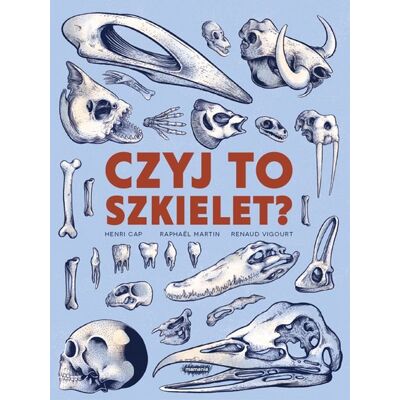 Czyj to szkielet? Czyj to szkielet?