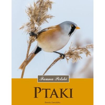 Fauna Polski. Ptaki Fauna Polski. Ptaki