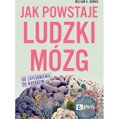 Jak powstaje ludzki mózg. Od zapłodnienia do narodzin Jak powstaje ludzki mózg. Od zapłodnienia do narodzin