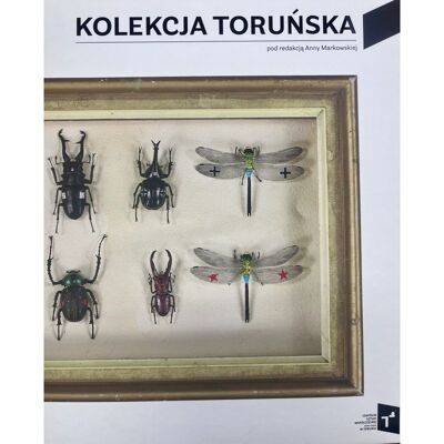 Kolekcja Toruńska. Zbiory Centrum Sztuki Współczesnej Znaki Czasu W Toruniu Kolekcja Toruńska. Zbiory Centrum Sztuki Współczesnej Znaki Czasu W Toruniu
