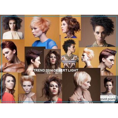Książka Pivot Point Trend Collection Desert Light Książka Pivot Point Trend Collection Desert Light