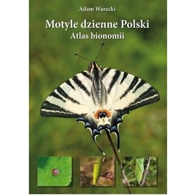 Motyle dzienne Polski. Atlas bionomii TW w.2021 Motyle dzienne Polski. Atlas bionomii TW w.2021