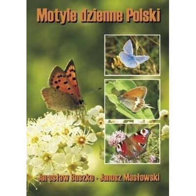 Motyle dzienne Polski Motyle dzienne Polski