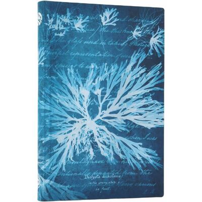 Paperblanks NOTATNIK SEA FLOWERS MINI LINIA Paperblanks NOTATNIK SEA FLOWERS MINI LINIA