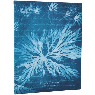 Paperblanks Notatnik Sea Flowers Ultra Linia Paperblanks Notatnik Sea Flowers Ultra Linia