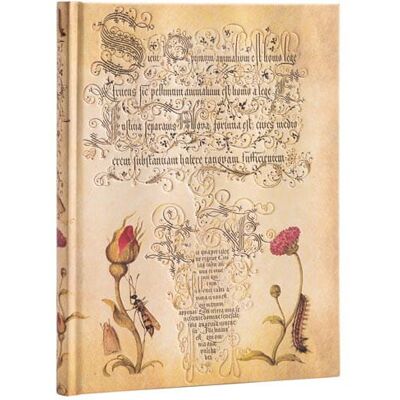 Notatnik w linie Paperblanks - Mira Botanica Flemish Rose - ultra Notatnik w linie Paperblanks - Mira Botanica Flemish Rose - ultra