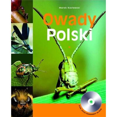 Owady Polski Owady Polski