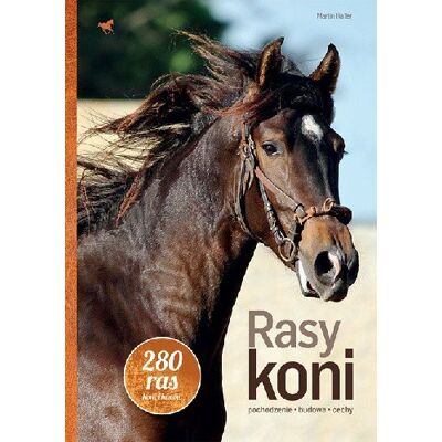 Rasy koni Rasy koni