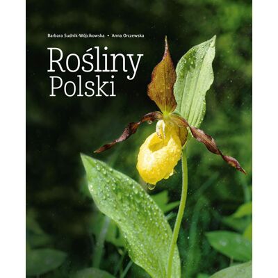 Rośliny Polski Rośliny Polski