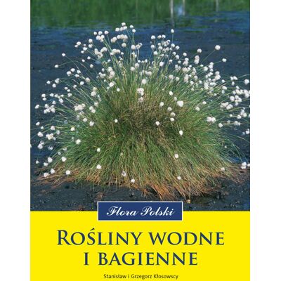 Rośliny wodne i bagienne Rośliny wodne i bagienne