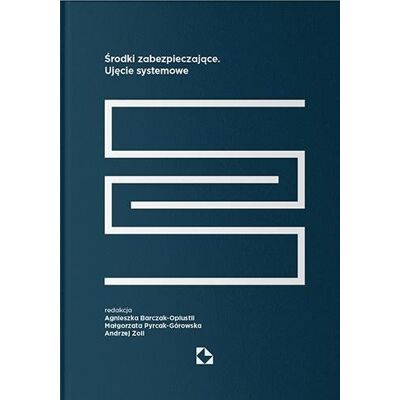 Środki zabezpieczające. Ujęcie systemowe Środki zabezpieczające. Ujęcie systemowe
