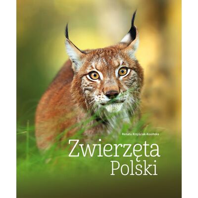 Zwierzęta Polski Zwierzęta Polski