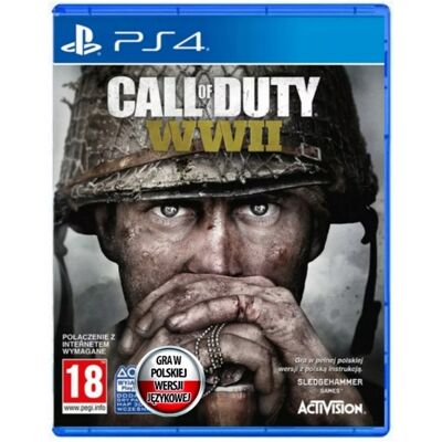 Activision Call of Duty WWII 2 PS4 PS5 Dubbing PL Activision Call of Duty WWII 2 PS4 PS5 Dubbing PL