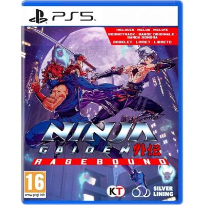 DotEmu PS5 NINJA GAIDEN: Ragebound DotEmu PS5 NINJA GAIDEN: Ragebound