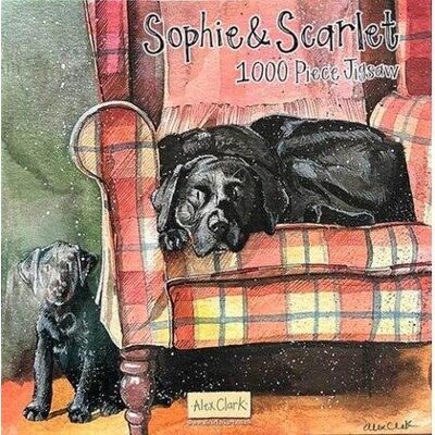 Amigo Puzzle 1000 J08 Psy Sophie&Scarlett Amigo Puzzle 1000 J08 Psy Sophie&Scarlett