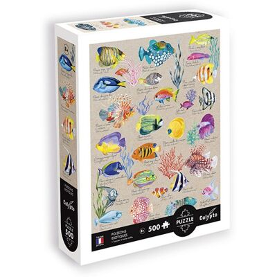 Sentosphere Puzzle 500 Pieces - Poissons Exotiques Sentosphere Puzzle 500 Pieces - Poissons Exotiques