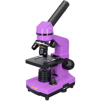 Mikroskop Levenhuk Rainbow 2L Amethyst\Ametyst Mikroskop Levenhuk Rainbow 2L Amethyst\Ametyst