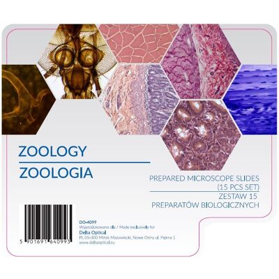 Zestaw Preparatów Delta Optical – Zoologia Zestaw Preparatów Delta Optical – Zoologia