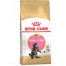 Royal Canin Breed Royal Canin Maine Coon Kitten - 10 kg