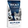 Wolf of Wilderness „Vast Oceans”, ryba - 2 x 12 kg