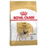 Royal Canin Breed Royal Canin Pug Adult - 2 x 3 kg