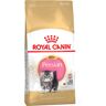 Royal Canin Breed Royal Canin Persian Kitten - 4 kg