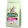 Affinity Ultima Ultima Cat Junior, kurczak - 3 x 1,5 kg