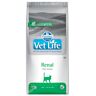 Vet Life Cat Farmina Vet Life Renal Feline - 3 x 2 kg