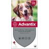 Advantix Spot-On dla psów - L: 10-25 kg (4 pipety x 2,5 ml)