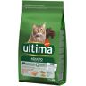 Affinity Ultima Ultima Cat Adult, łosoś - 4,5 kg (3 x 1,5 kg)