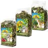 JR Farm Pakiet Forest & Meadow Secrets pokarm dla królików i gryzoni - 2 x 350 g