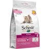 Schesir Kitten - 2 x 1,5 kg