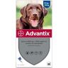 Advantix Spot-On dla psów - XL: 25-40 kg (4 pipety x 4,0 ml)