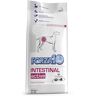 Forza10 Active Line Dog Forza 10 Active Line - Intestinal Active - 2 x 10 kg