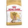 Royal Canin Breed Royal Canin Yorkshire Terrier Adult 8+ - 2 x 3 kg