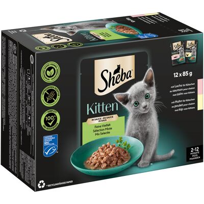 Zestaw wielopak Sheba Kitten z łososiem i kurczakiem - Mokra karma dla kotów Zestaw wielopak Sheba Kitten z łososiem i kurczakiem - Mokra karma dla kotów