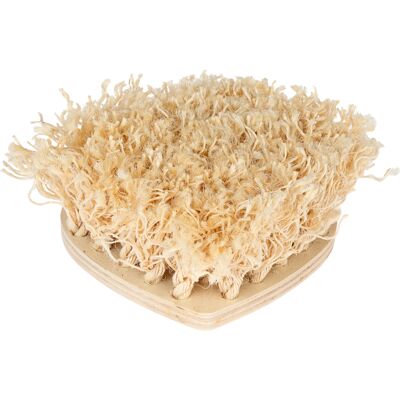 TIAKI zabawka węchowa dla małych zwierząt, serce - Dł. x szer. x wys.: ok. 30 x 30 x 10 cm TIAKI zabawka węchowa dla małych zwierząt, serce - Dł. x szer. x wys.: ok. 30 x 30 x 10 cm