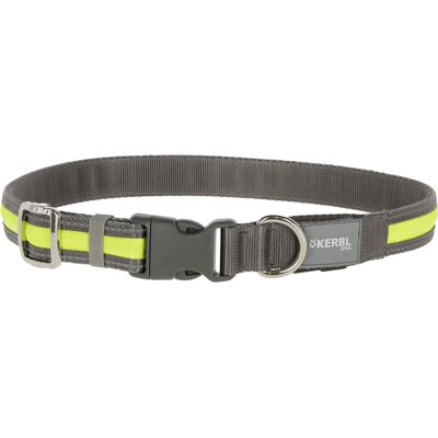 Kerbl Pet Light & Reflex podświetlana obroża - Rozmiar S/M: obw. szyi 35-50 cm, szer. 20 mm Kerbl Pet Light & Reflex podświetlana obroża - Rozmiar S/M: obw. szyi 35-50 cm, szer. 20 mm
