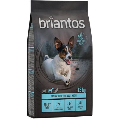 Karma dla psów Briantos - 12kg Bez zbóż Mini Łosoś i Ziemniaki Karma dla psów Briantos - 12kg Bez zbóż Mini Łosoś i Ziemniaki