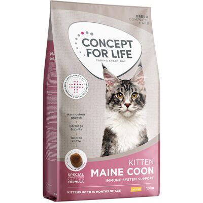 Concept for Life Maine Coon Kitten - NOWOŚĆ: 10 kg Concept for Life Maine Coon Kitten - NOWOŚĆ: 10 kg