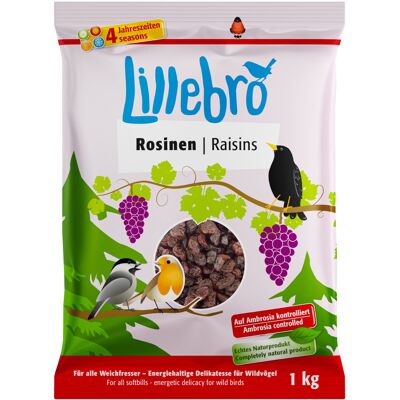Karma dla dzikich ptaków Lillebro - 1kg, Odpowiednia na wszystkie pory roku - Naturalna i bez cukru Karma dla dzikich ptaków Lillebro - 1kg, Odpowiednia na wszystkie pory roku - Naturalna i bez cukru
